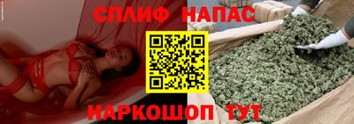 a pvp Гай